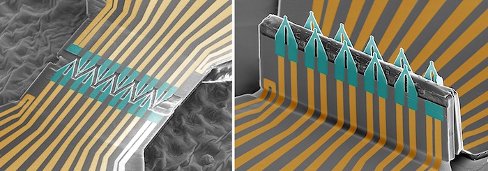 3D FET陣列結(jié)構(gòu)