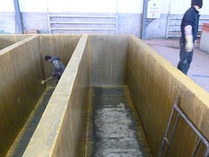 r1.jpg
